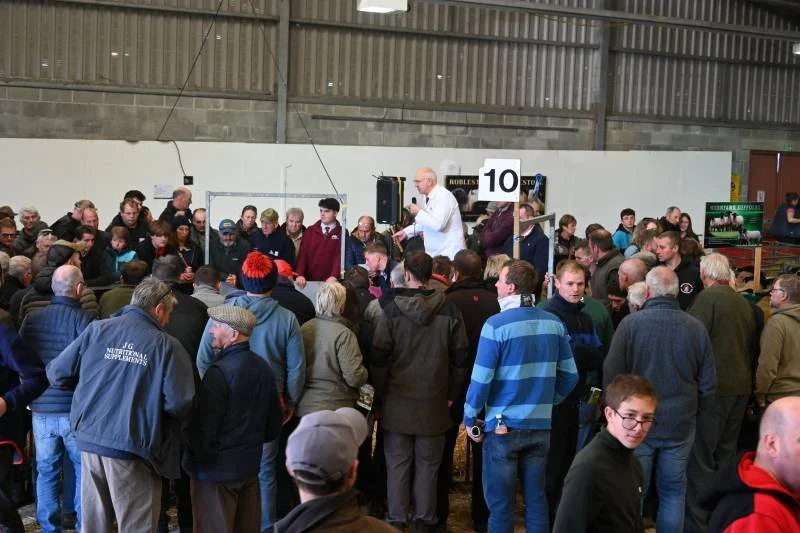 A crowded auction inside a barn with people gathered around a speaker, some holding numbered paddles, and others examining items for sale.