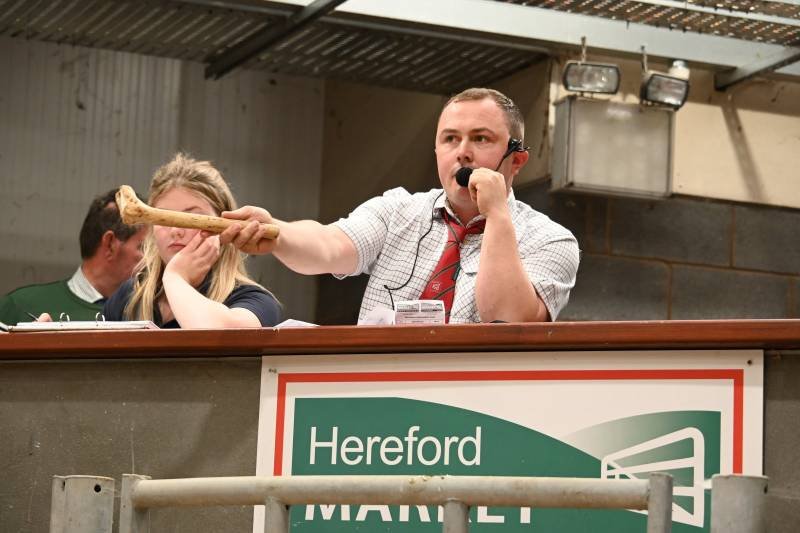 Auctioneer holding a gavel in his right hand and speaking into a microphone in front of an audience.