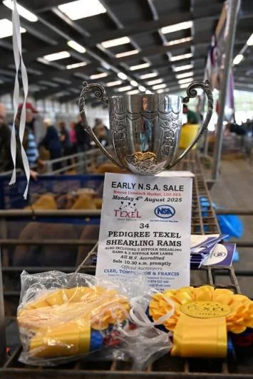 Silver trophy cup on a cart with a sale flyer and yellow ribbons in front at an auction or sale event.