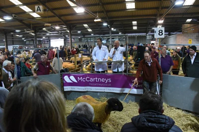At a livestock auction or sheep competition inside a large warehouse, a group of people, including two men in white coats, are gathered around a sheep with a yellow blanket on it. There is a purple banner with the logo of McCartneys with a crowd in t