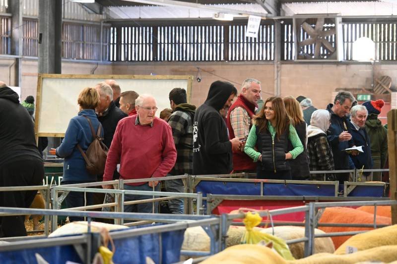 People gathered in an indoor livestock auction or sale, looking at animals in pens, with some people taking notes and engaging in conversations.