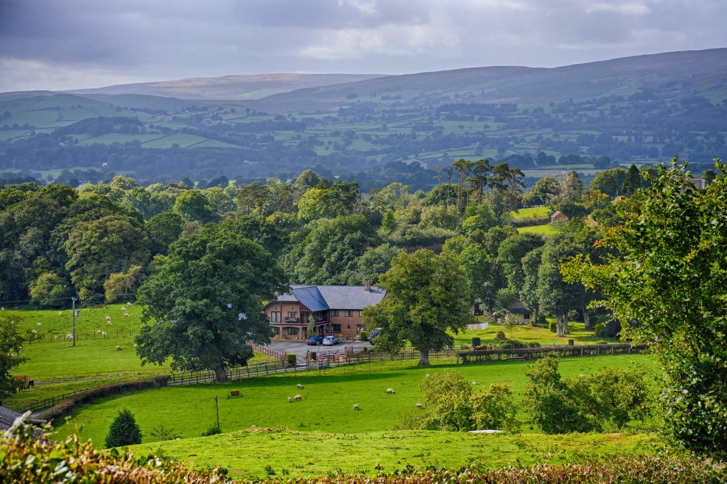 A scenic landscape with lush green fields, trees, a residential house, fences, and rolling hills in the background under a cloudy sky.