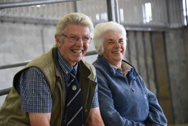Sheep Sale Stalwart