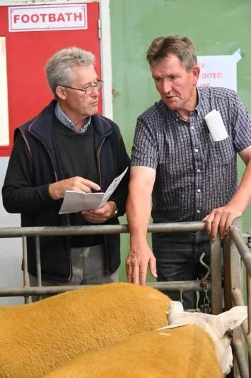 Two men are standing next to a farm animal, likely a sheep, in a barn or livestock area. One man is holding papers and the other is pointing at the animal.