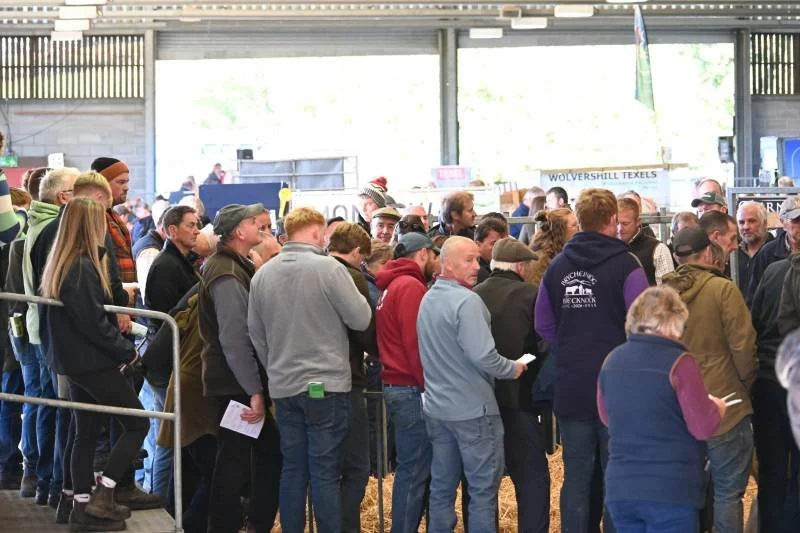 Crowd of people in line at an indoor event, some holding papers and engaging with the booth in the background.