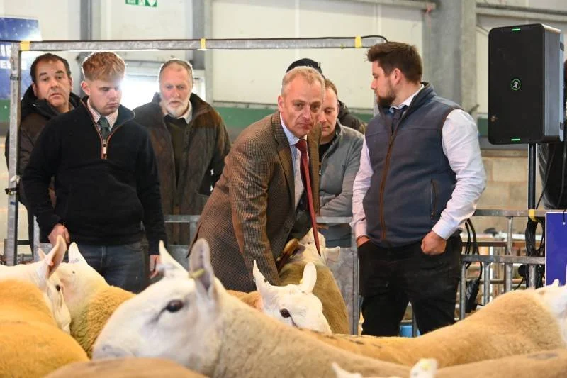 Group of men inspecting sheep at an indoor livestock exhibition or fair.