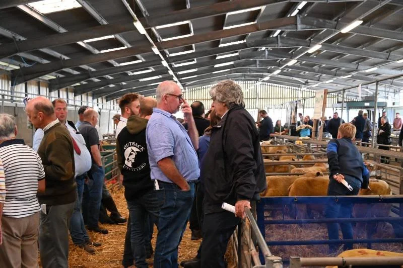 People attending an indoor livestock exhibition, looking at cattle in pens under a metal roof structure.
