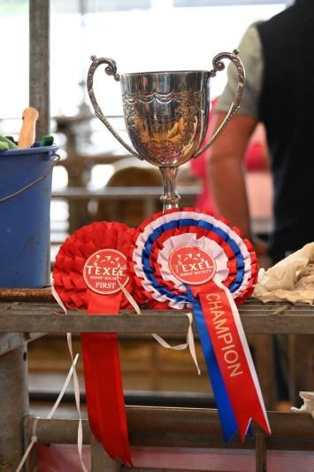 Silver trophy cup with two handles displayed on a table alongside red and blue ribbon award rosettes labeled 'Champion' and 'First.'