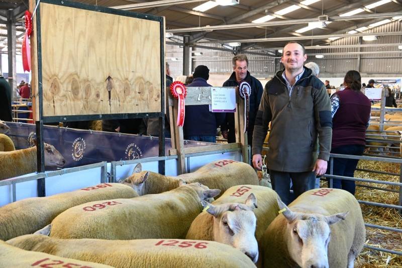 Man standing in an indoor livestock auction or fair with sheep in the foreground, and people in the background.