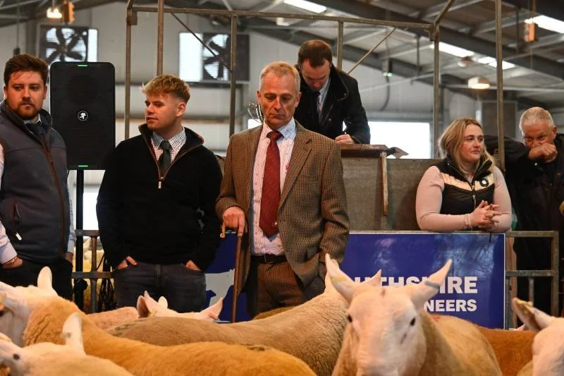 People standing near a display of sheep at an indoor livestock event or exhibition, with a man in a suit observing sheep in the foreground.