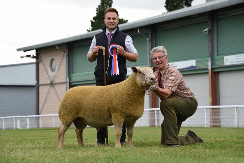 Two men and a sheep at an outdoor livestock event, with one man holding a blue, red, and white ribbon, and the other man kneeling beside the sheep.