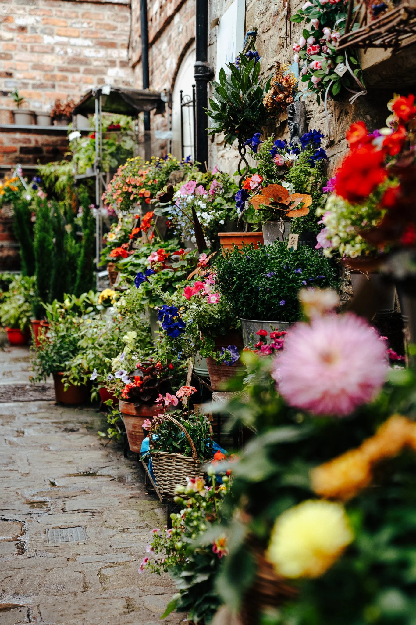 Little Lens Club Workshops