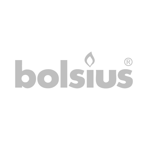 Het logo van Bolius met de naam en een vlam boven de letter 'i'.