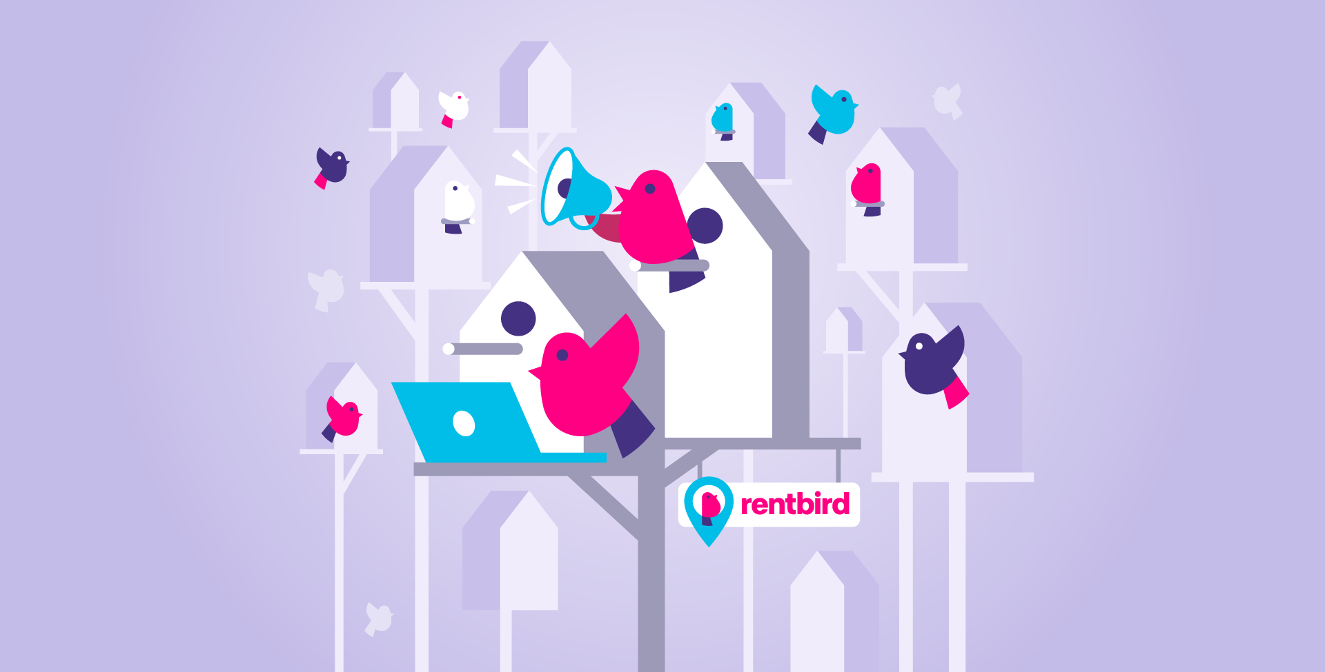 Rentbird & Roofmatch | opdrachtgever