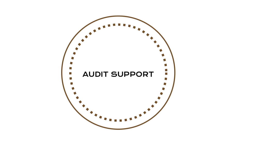 Audit Support