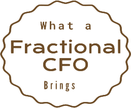 What a Fractional CFO Brings