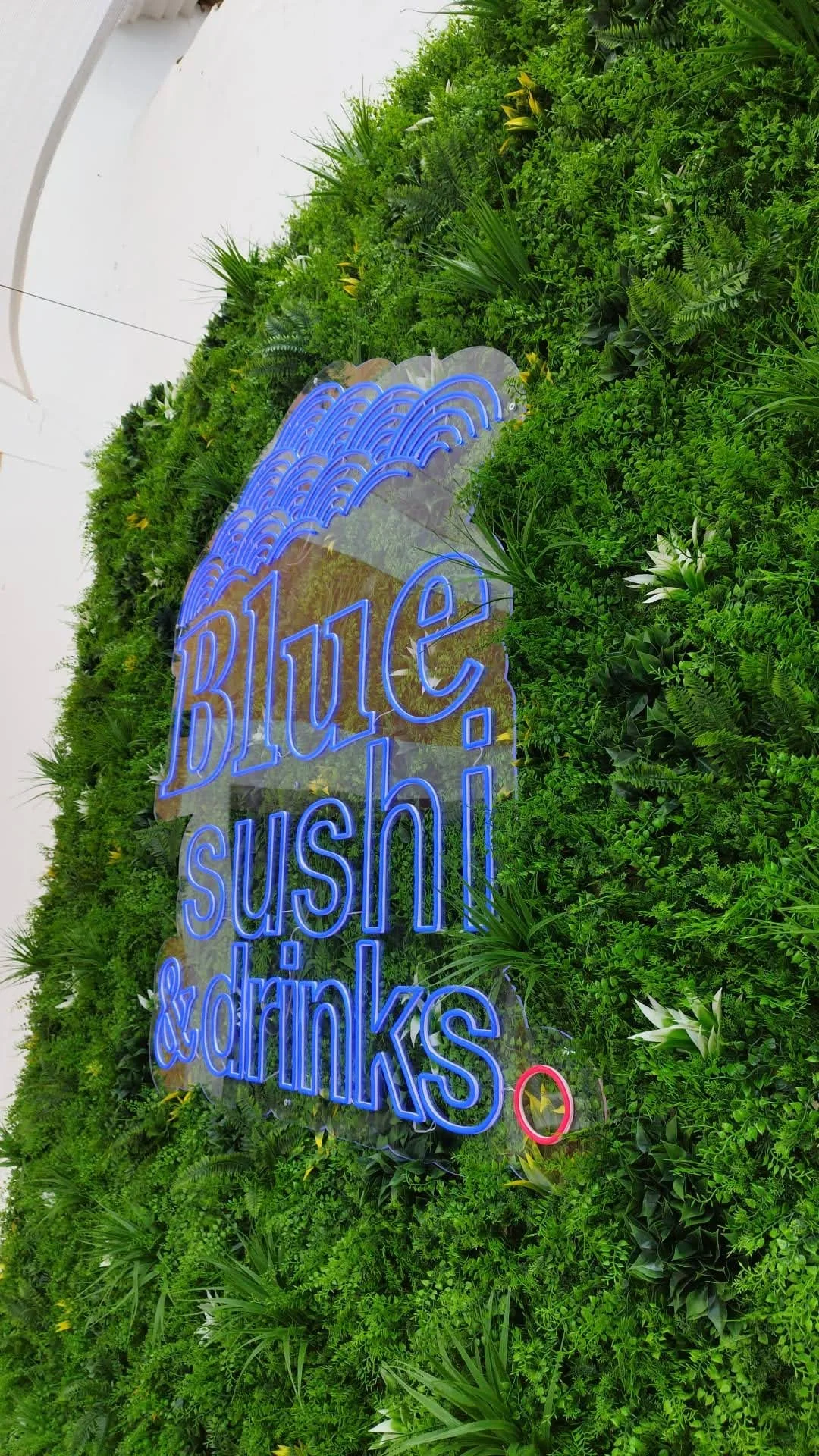 Cartel con letras de neón que dice 'Blue Sushi & Drinks' sobre un fondo de pared cubierta con vegetación verde.