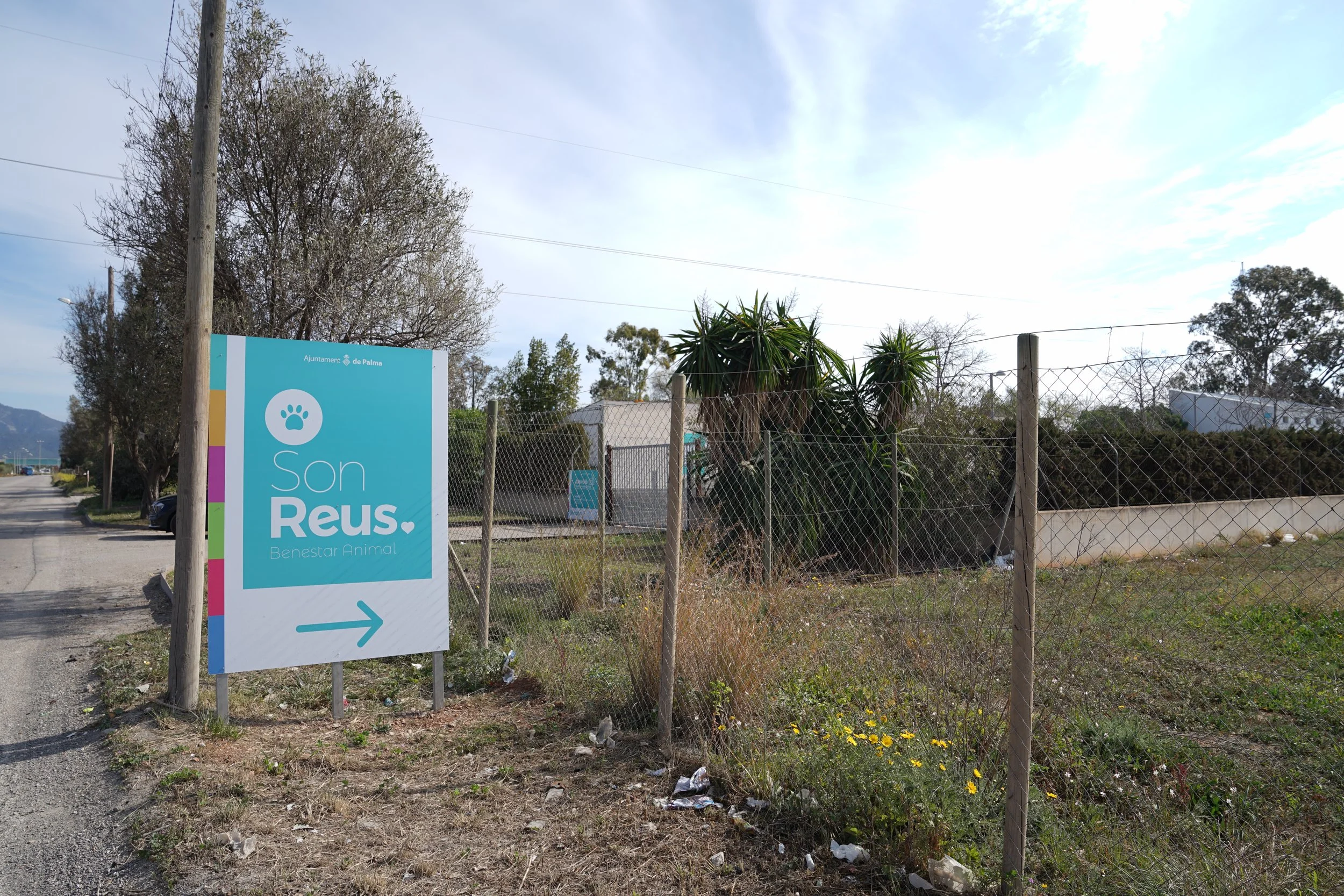Cartel azul que indica dirección a un lugar llamado 'Son Reus', con mensaje sobre bienestar animal, junto a una cerca de malla y vegetación que incluye plantas de palma, en un entorno rural o suburbano.