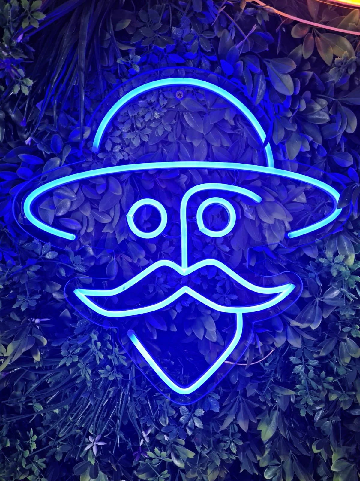 Letras de neón azules formando la cara de un pirata con sombrero, ojos, nariz, bigote y barba, sobre fondo de hojas verdes.