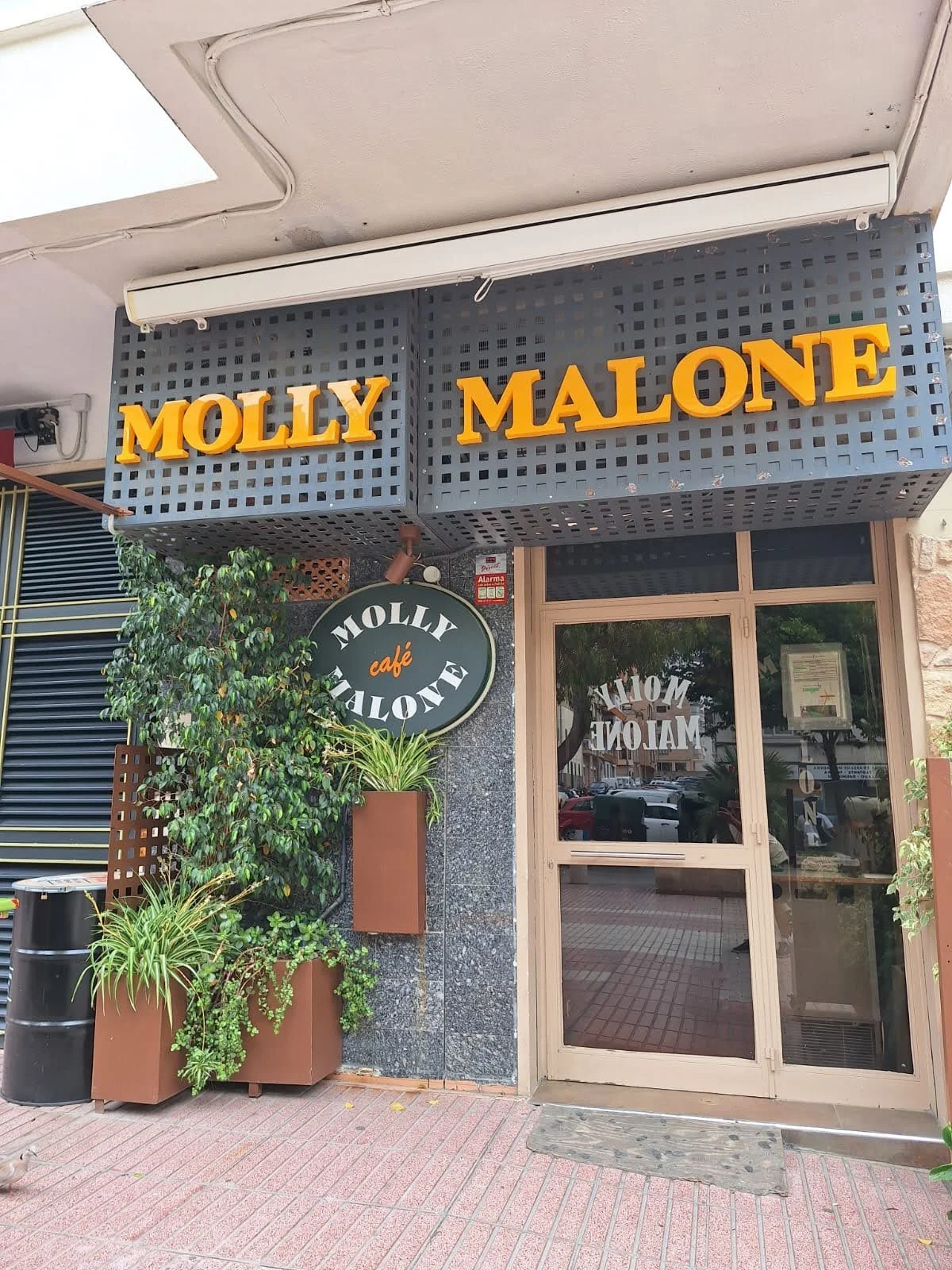 Cartel de neón con letras amarillas que dice 'MOLLY MALONE', señal de café con el mismo nombre y plantas decorativas afuera del local