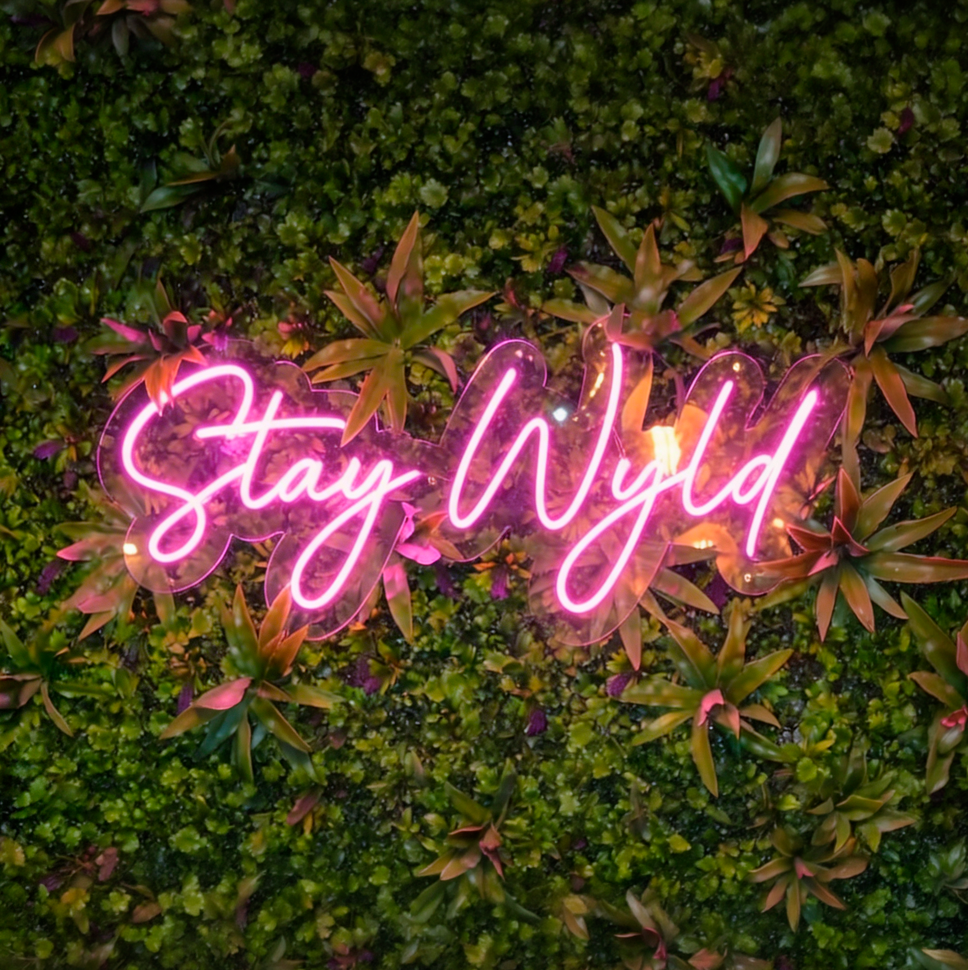 Letrero de neón rosa con la frase 'Stay Wild' en un fondo de plantas verdes.