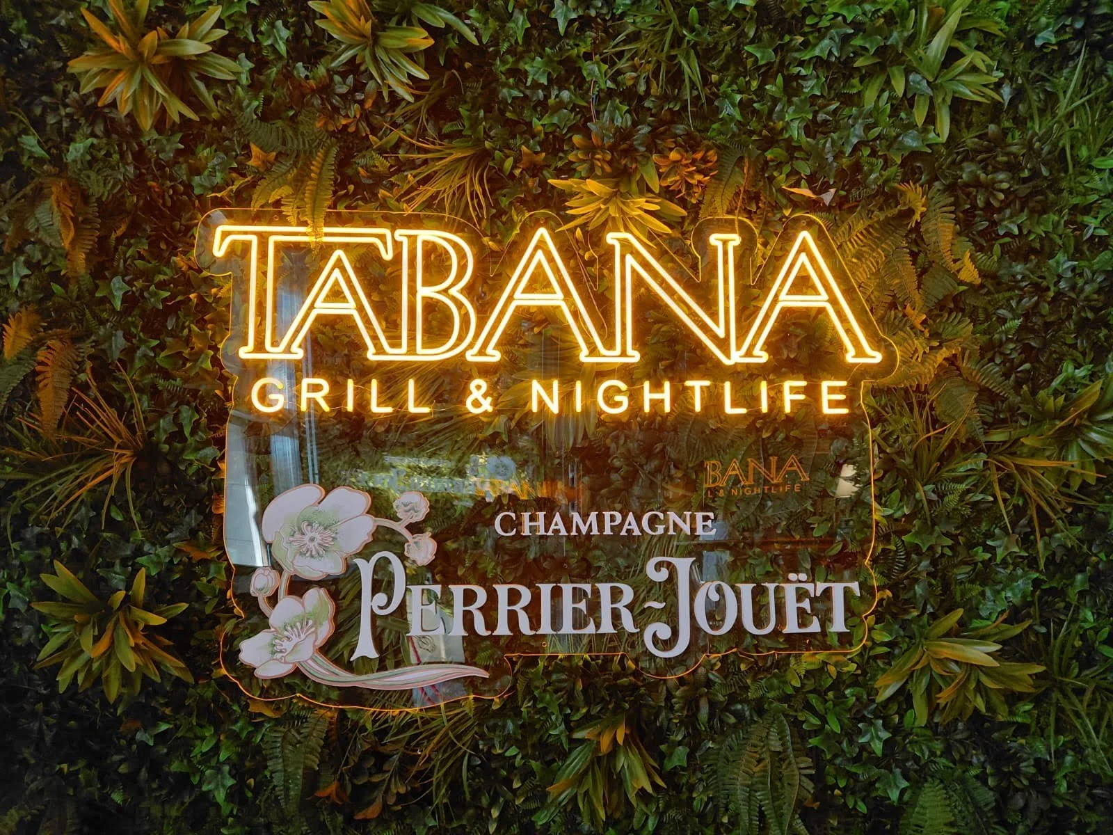 Cartel de neón que dice 'Tabana Grill & Nightlife' con fondo de plantas verdes y flores en un muro decorativo.