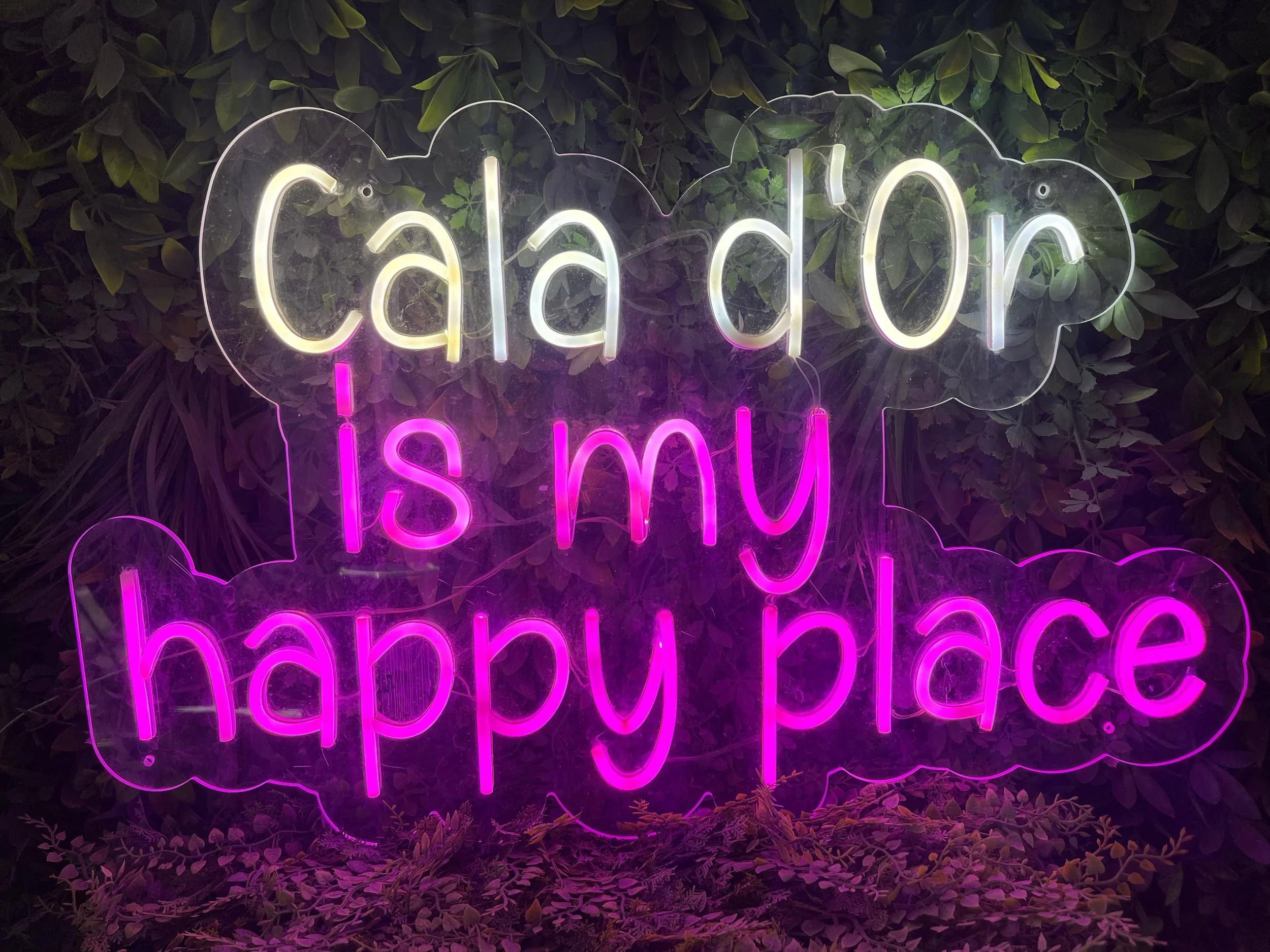 Letrero luminoso en neón con la frase en inglés 'calm is you' en letras blancas, y en letras rosadas debajo que no son completamente legibles, sobre fondo de plantas verdes.