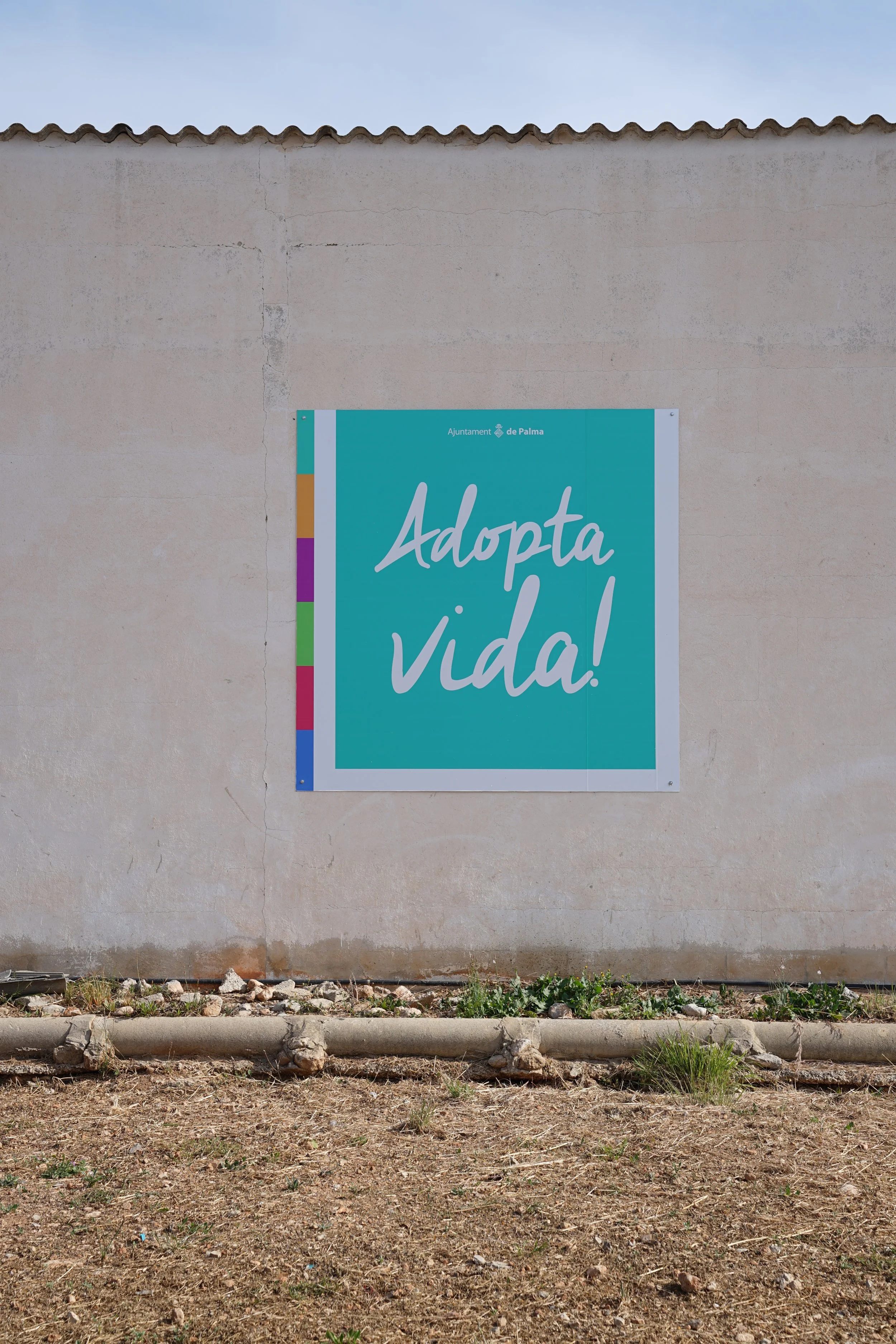 Cartel en una pared que dice 'Adopta vida!'