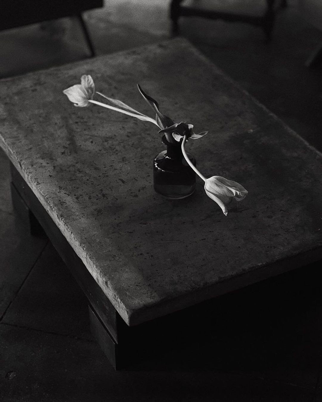 A black and white photo of a small vase with two wilted flowers on a textured table with a dark background.