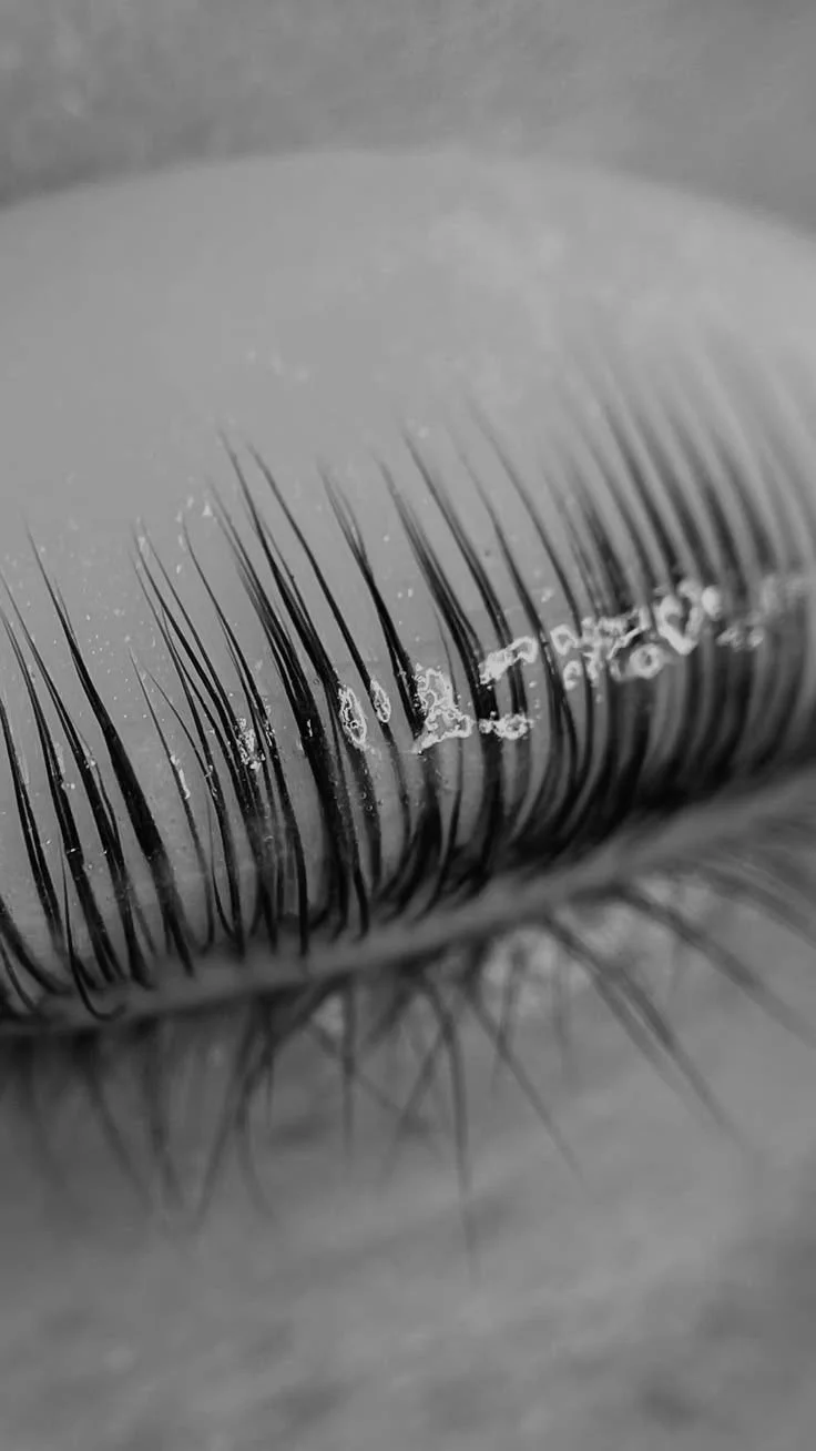 Close-up black and white photograph of an eyelash and eyelid, showing fine details of the lashes and skin texture.