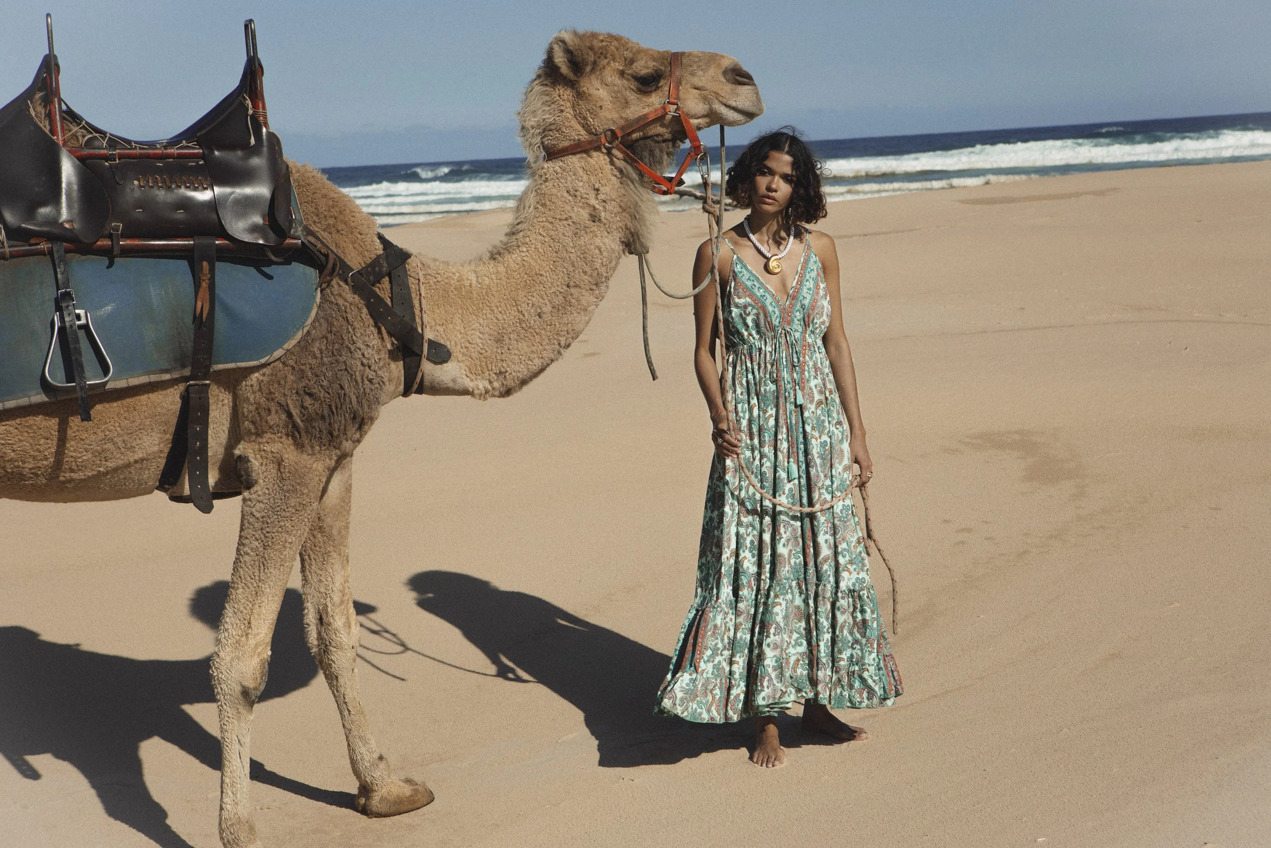 BB Camel01.jpg