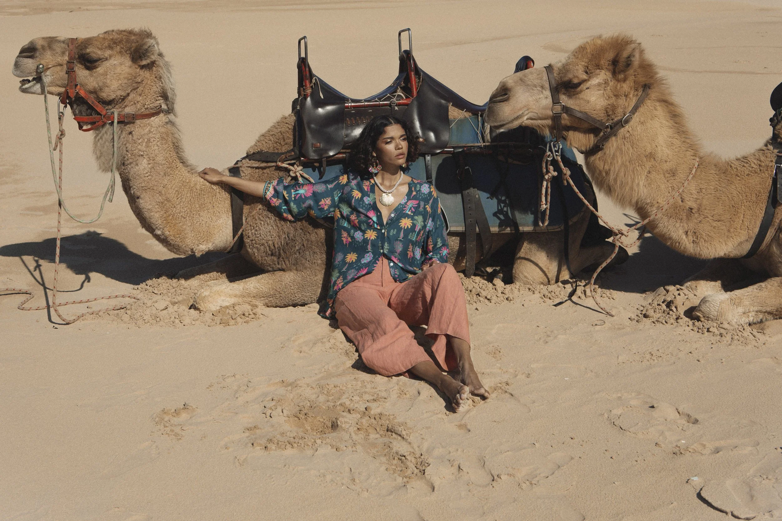 BB Camel07.jpg