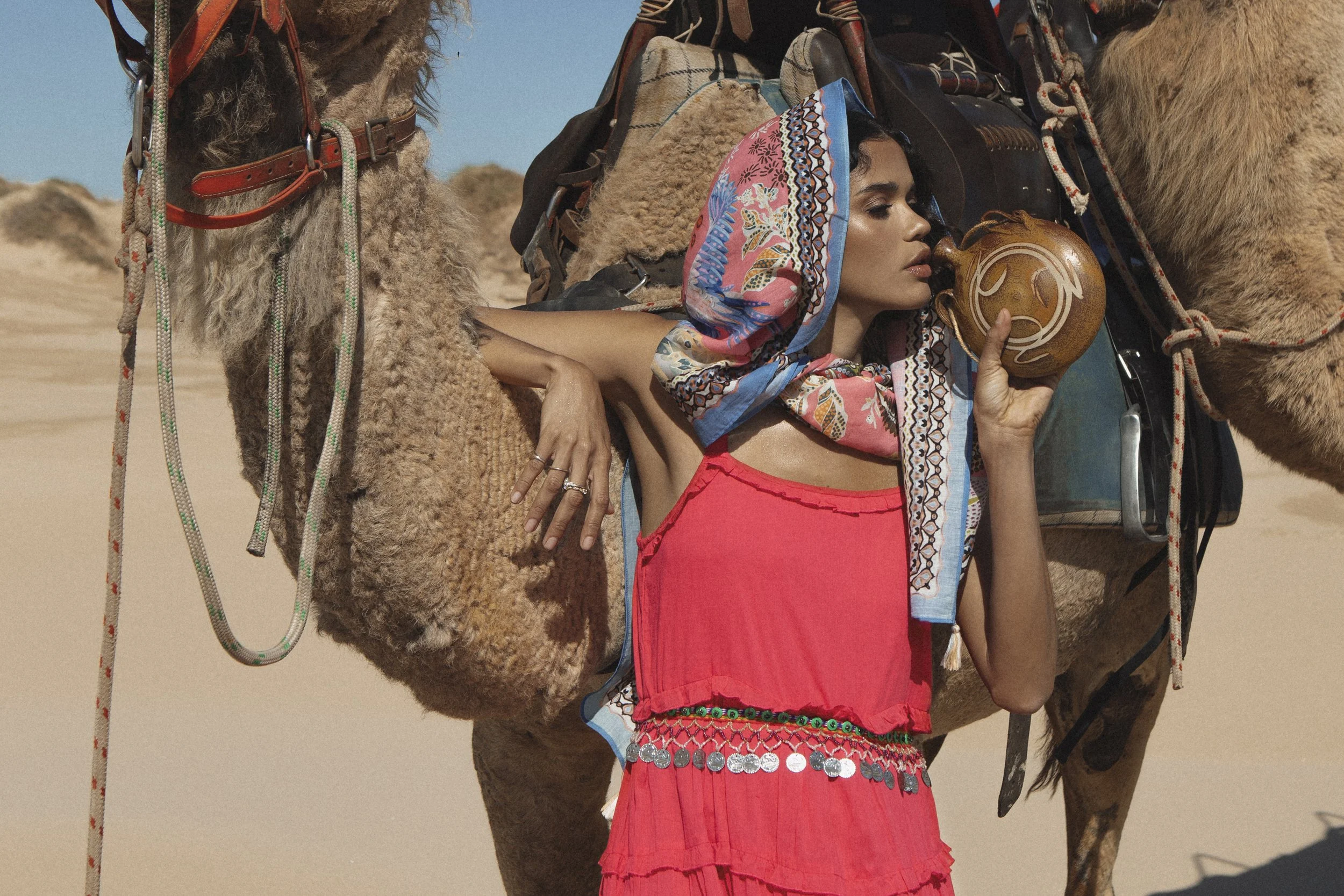 BB Camel04.jpg