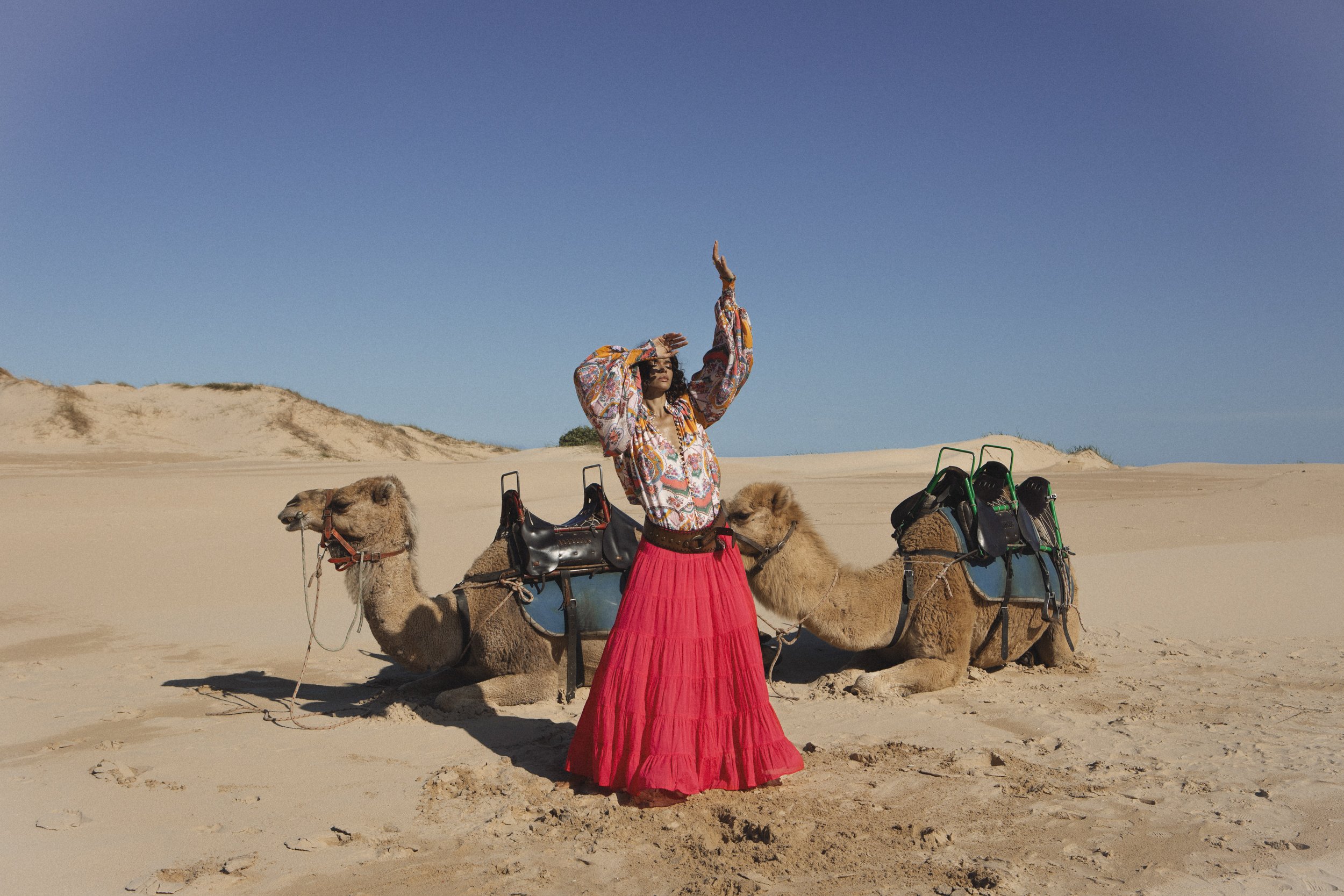 BB Camel13.jpg