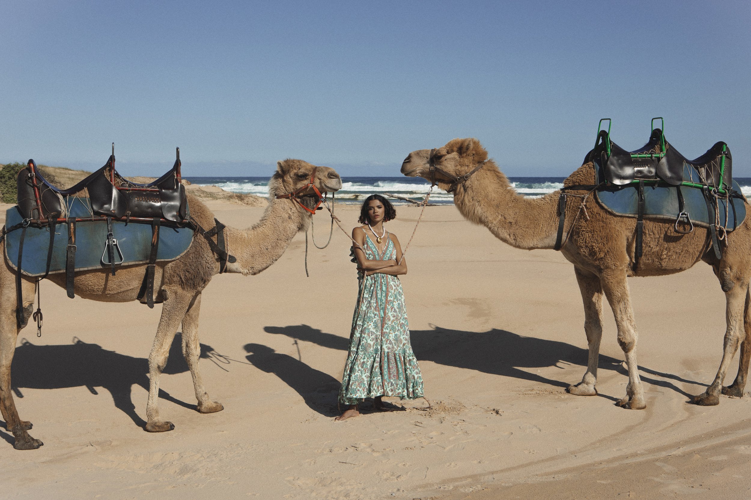 BB Camel16.jpg