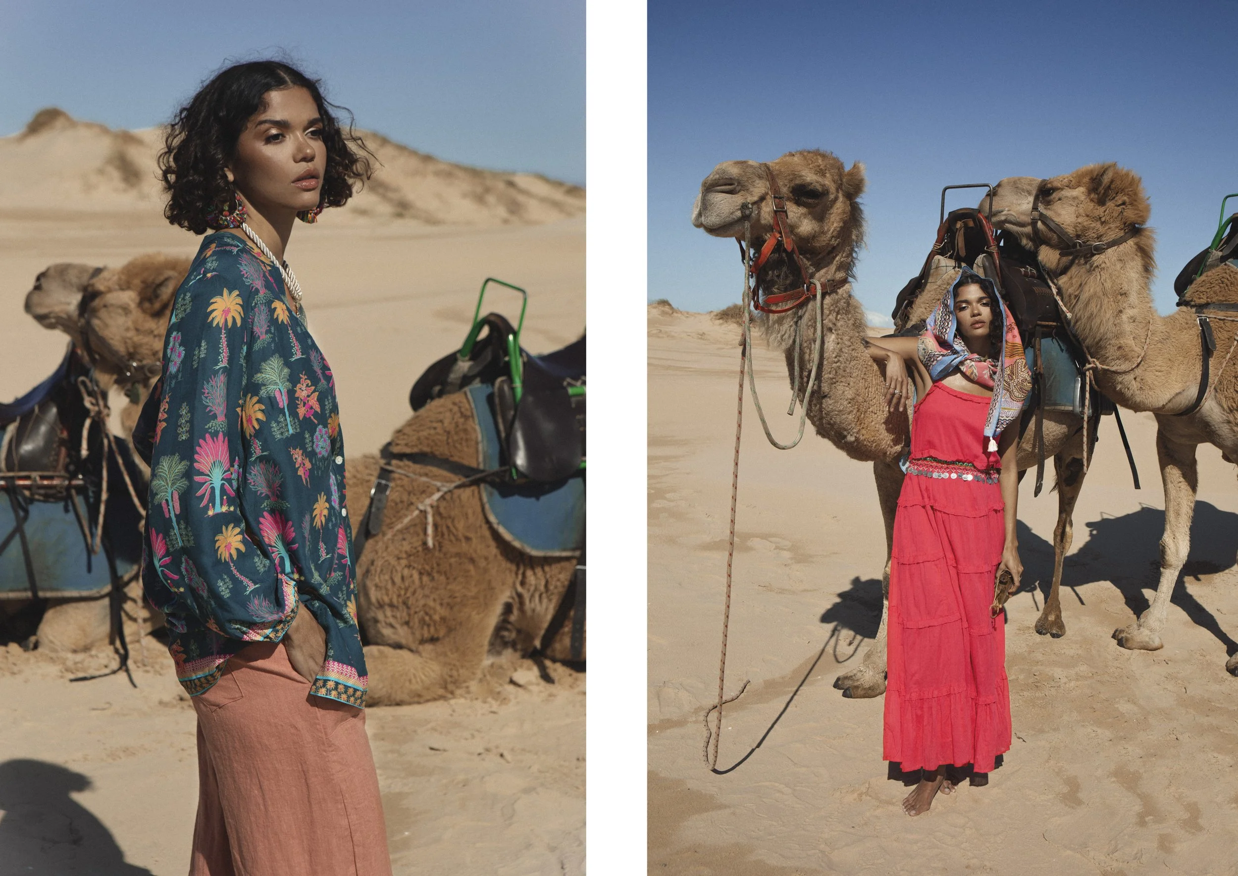 BB Camel33.jpg