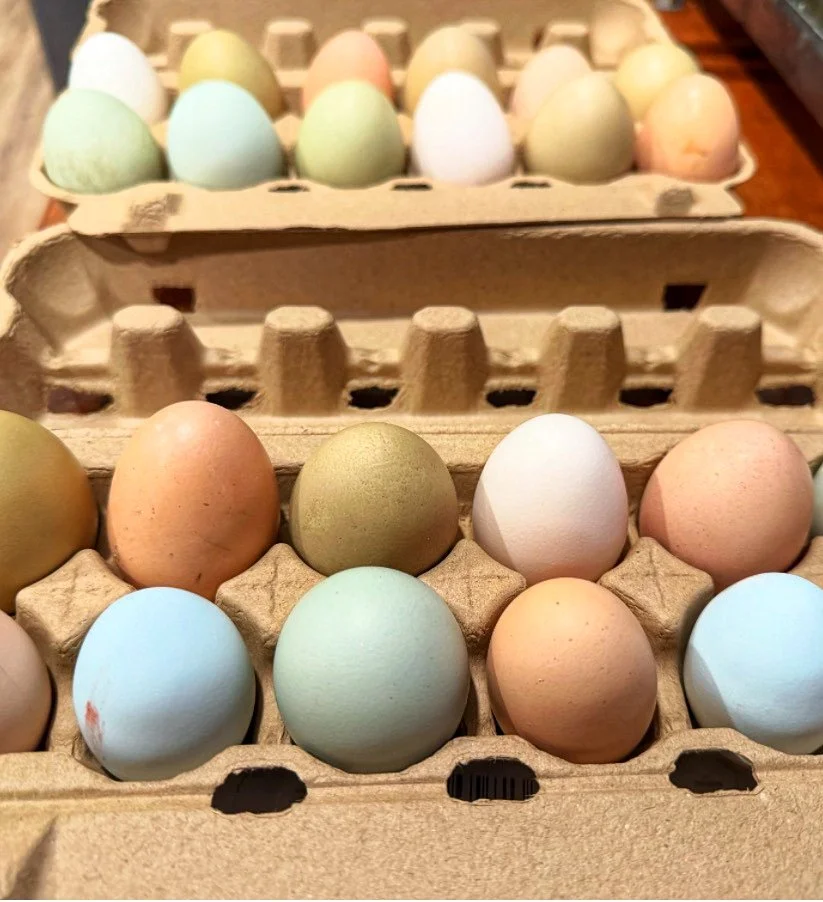 1 Dozen Eggs (Chicken)