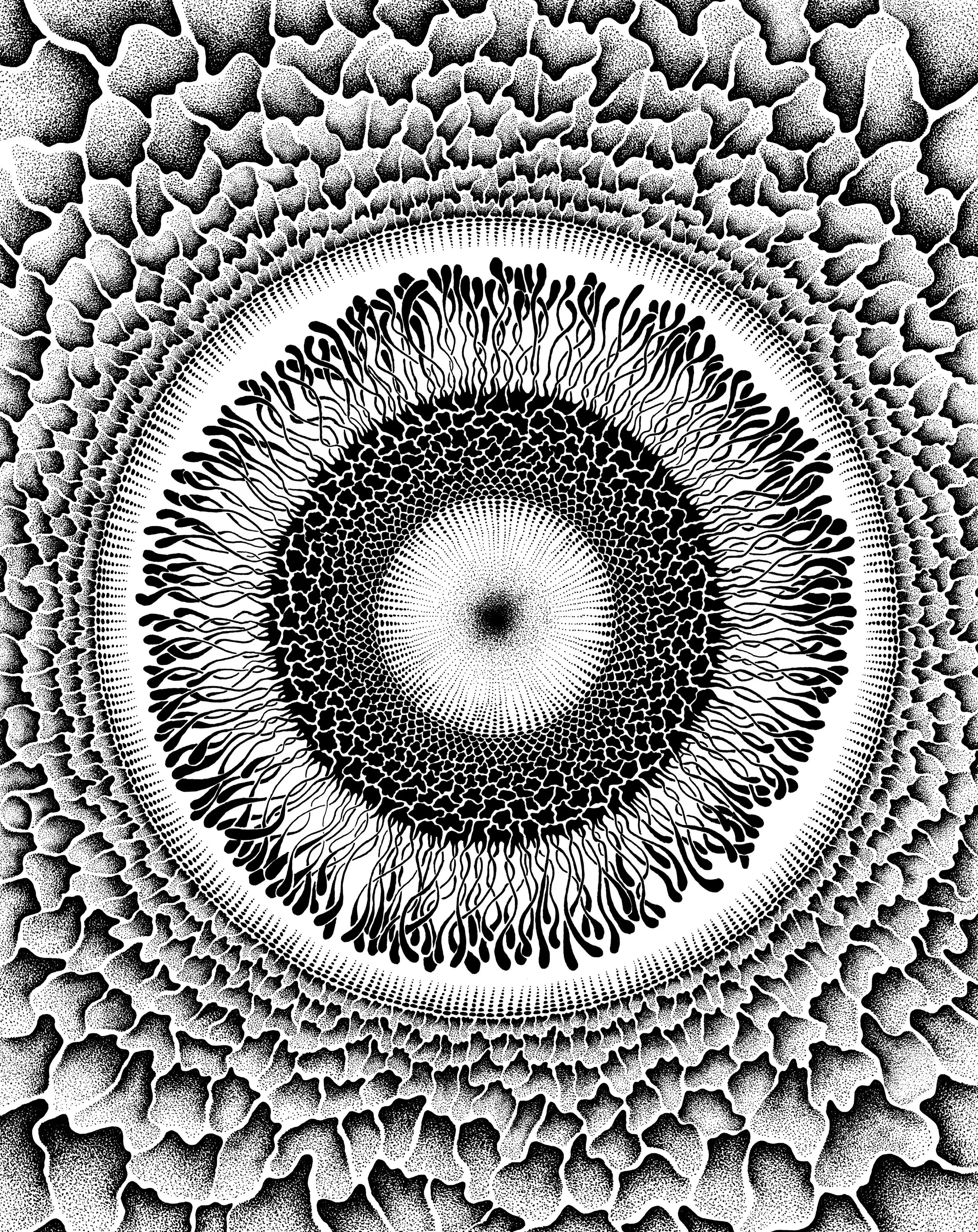 Analogous