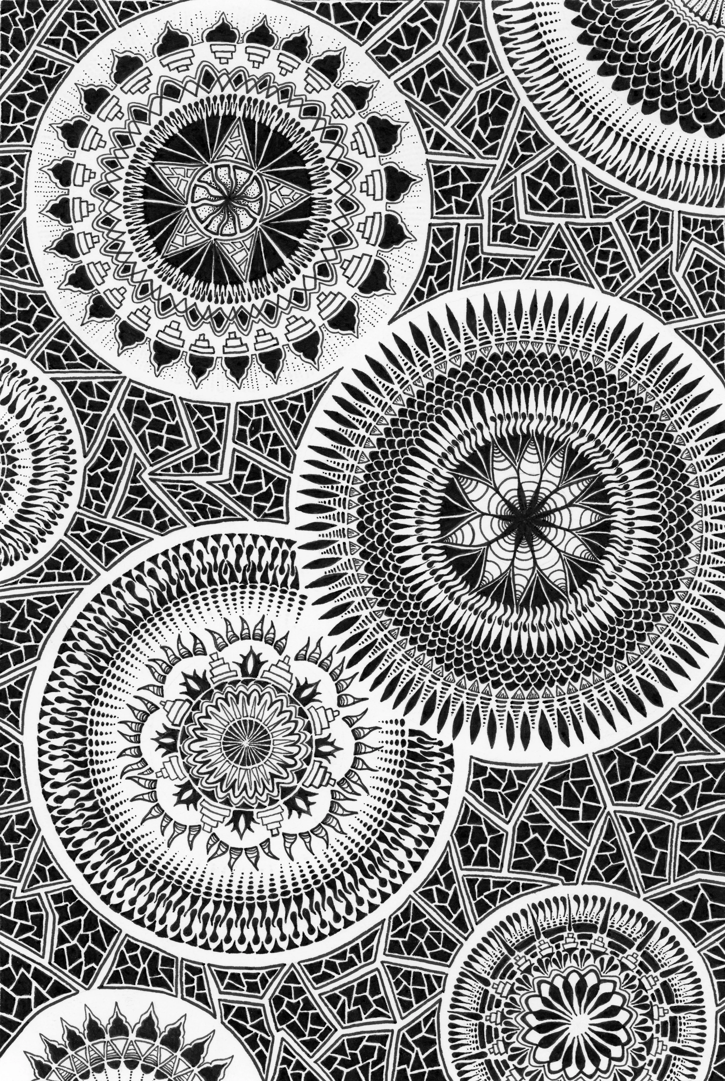 Multiple Universes