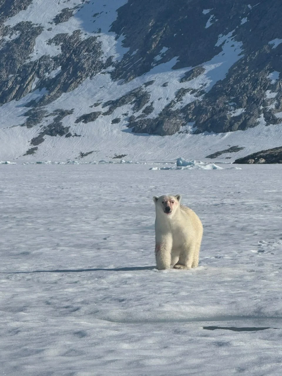 WhatsApp Image 2026-10-06 at 11.08.25 (1)- Greenland.jpeg