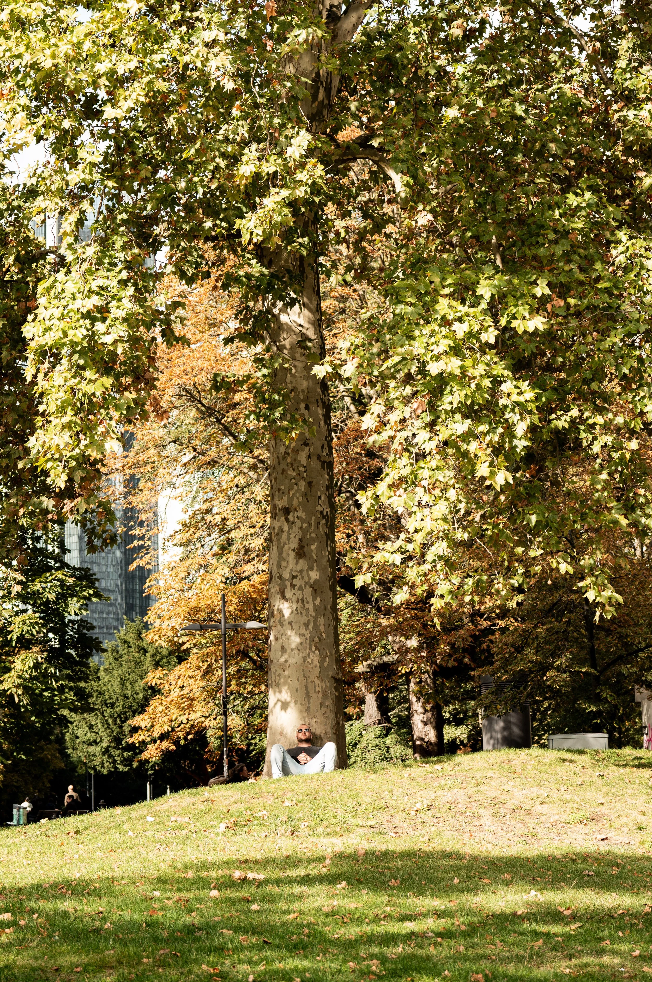 L1110920.jpg
