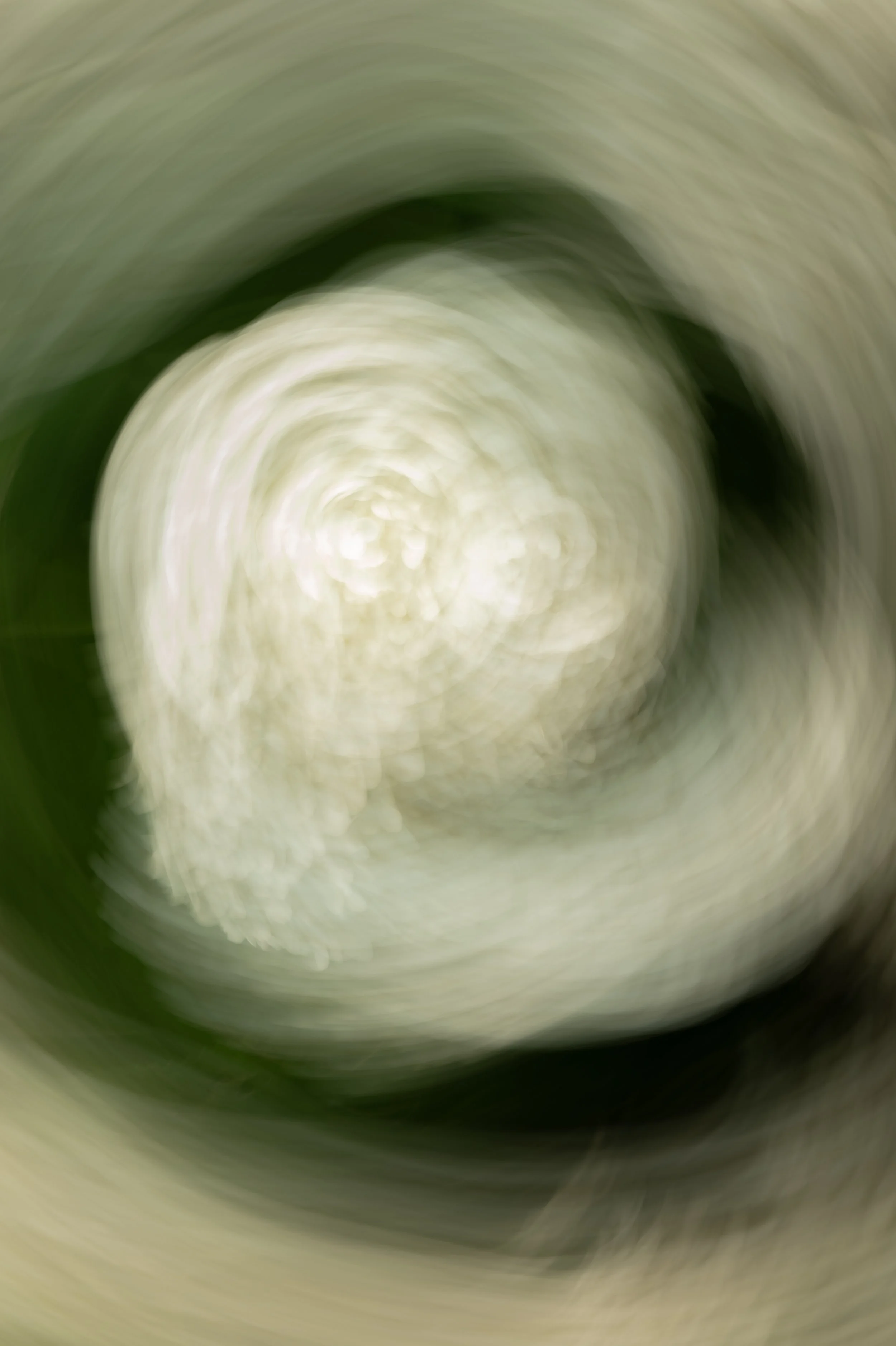 L1050966.JPG