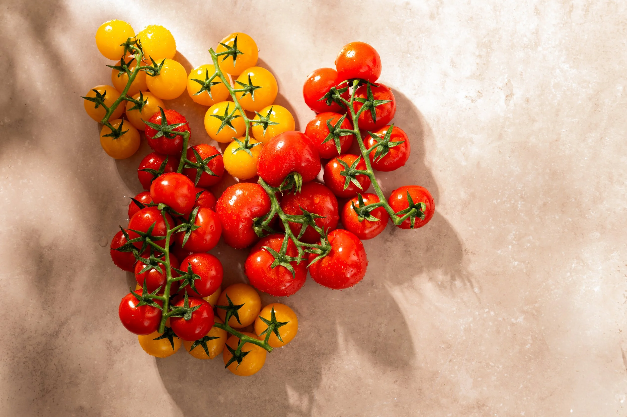 The Art of Noticing: Tomatoes