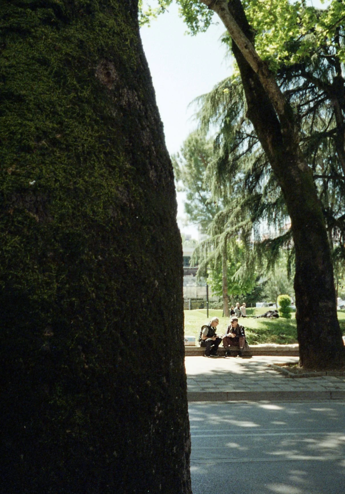 SCAN_086.jpeg