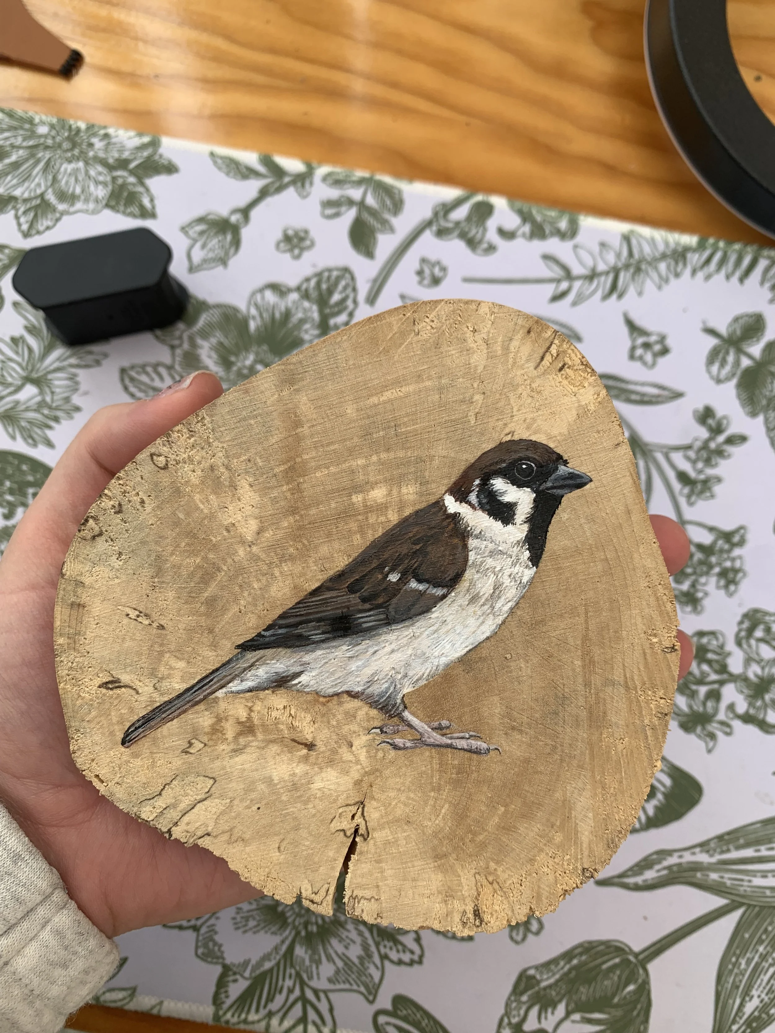 Wood-round Bird, hand for scale, example of small acrylic..jpeg