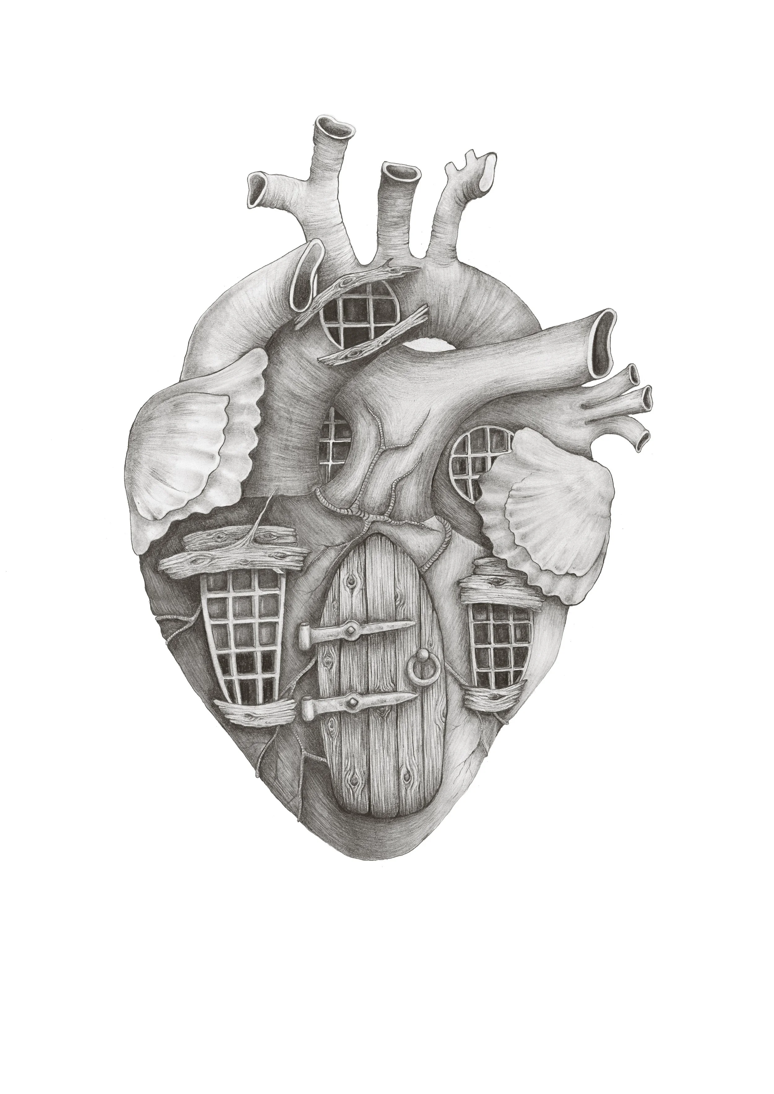 Currie - Drawing 8.jpg