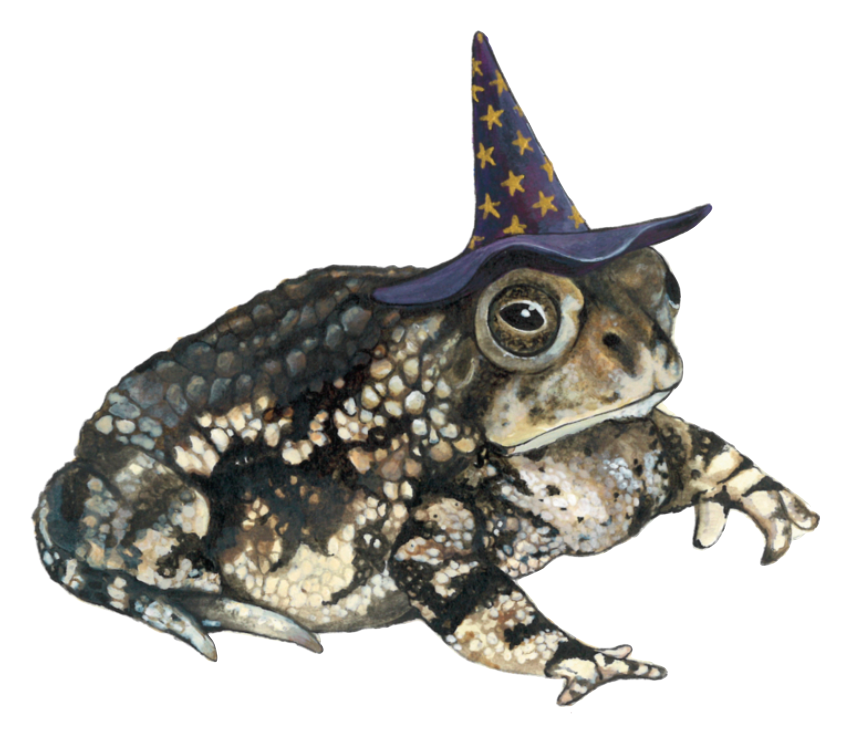 Toad Is Magic Vinyl Sticker
