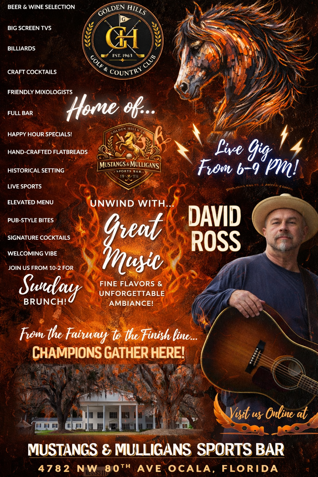 David Ross Live