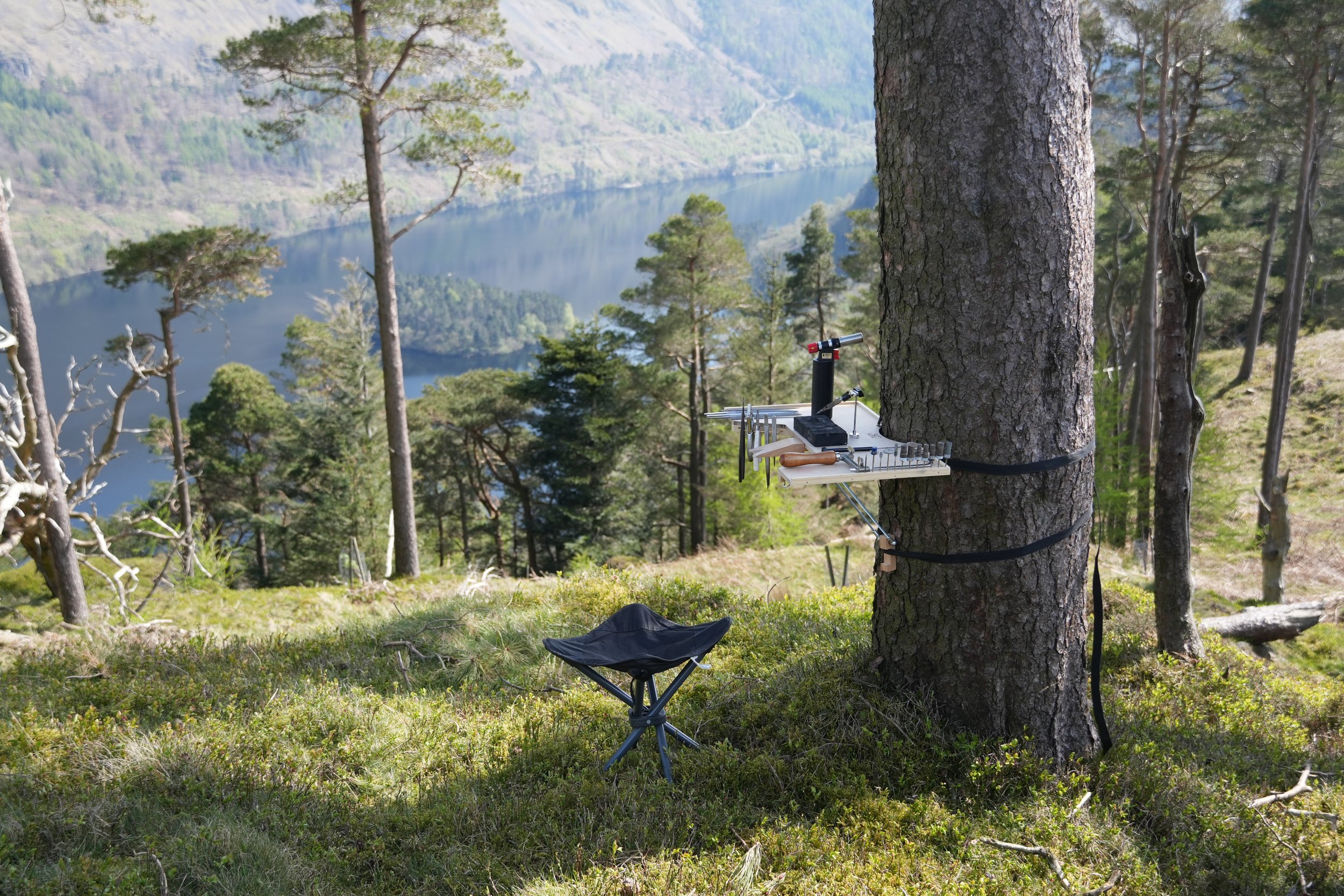 A forested lakeside with pine trees, water, and mountain background. A tree in the foreground has a portable jewellery bench attached to it, including jewellery tools
