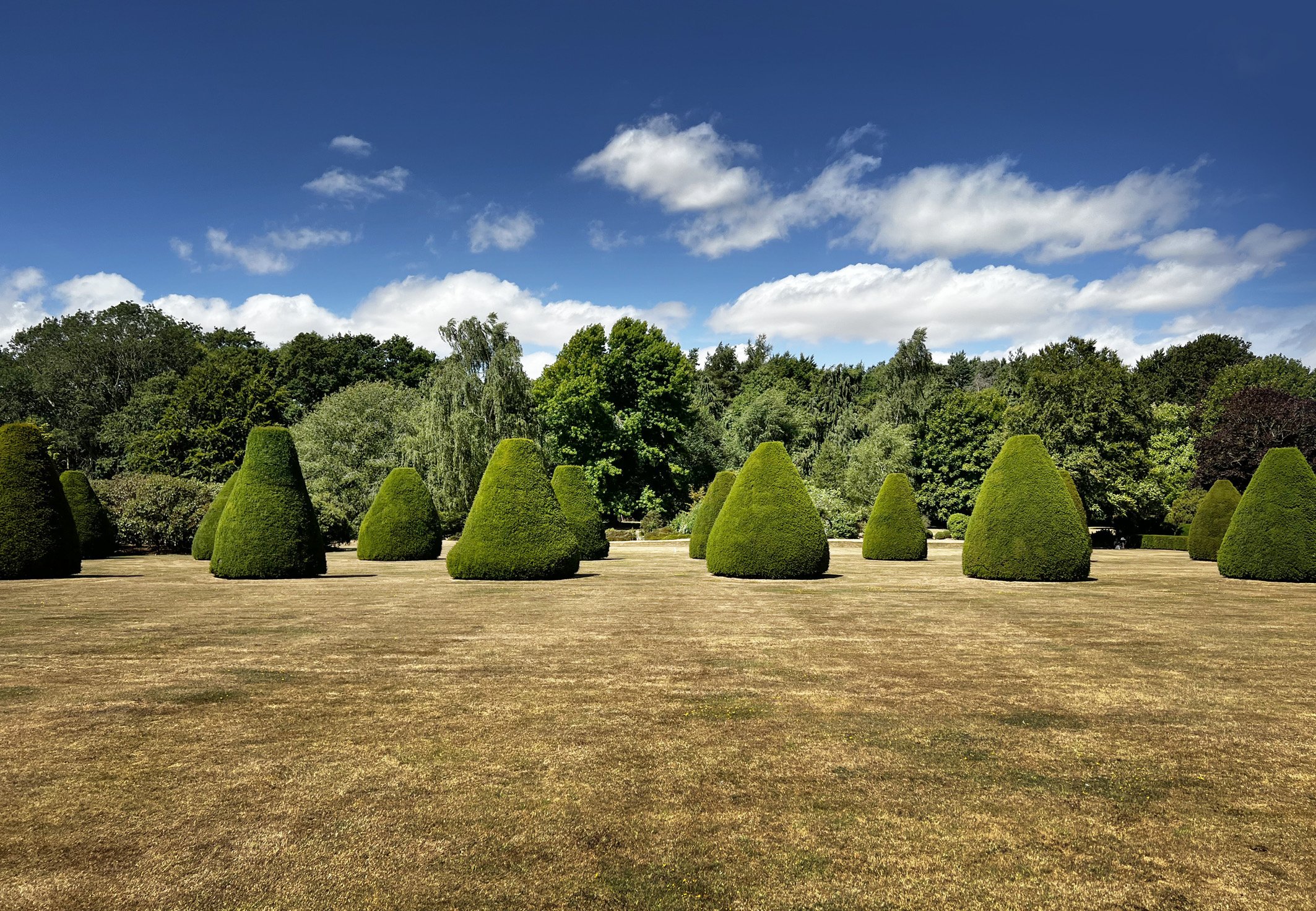 37 Topiary 2 July 2022 copy 2.jpg